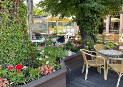 Eisgarten Laluna Eiscafé Neugersdorf